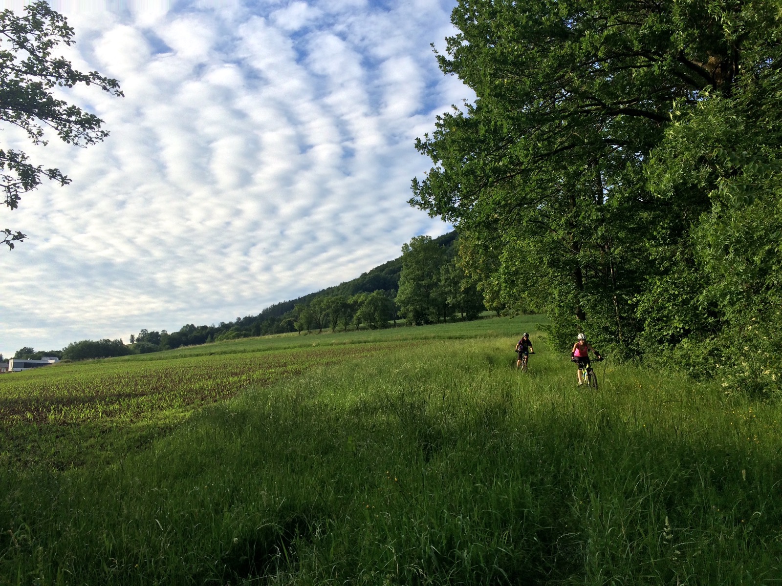 Mountainbike Kirchdorf